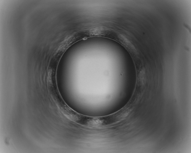 X0000102470217200808081258