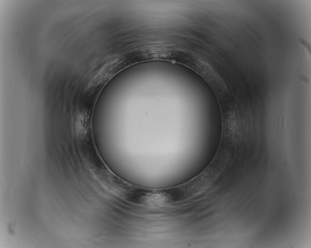 X0000102470218200808081258