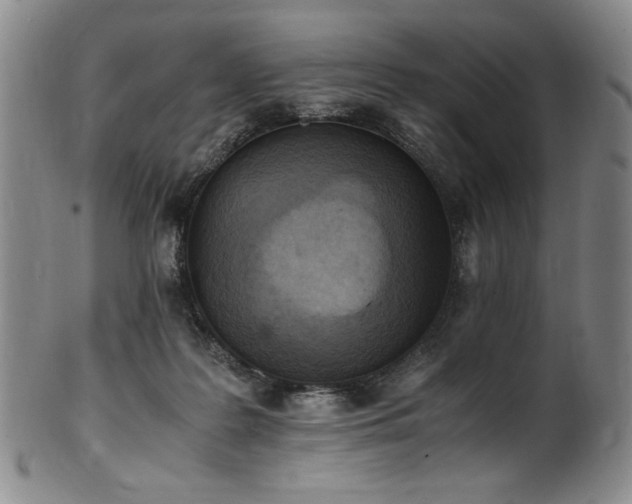 X0000102470219200808081258