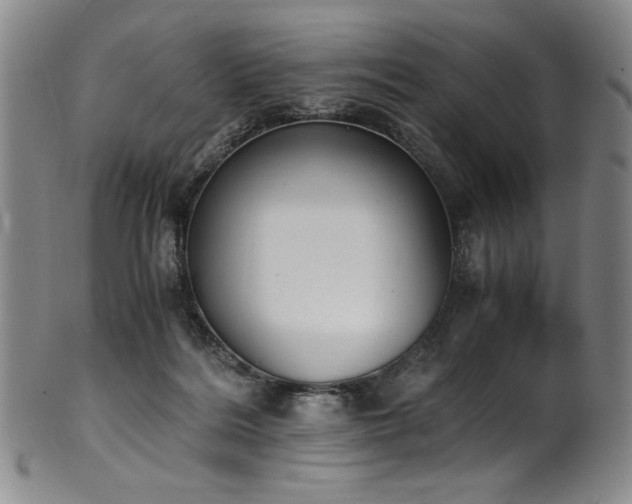 X0000102470220200808081258