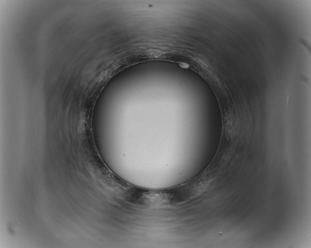 X0000102470221200808081258