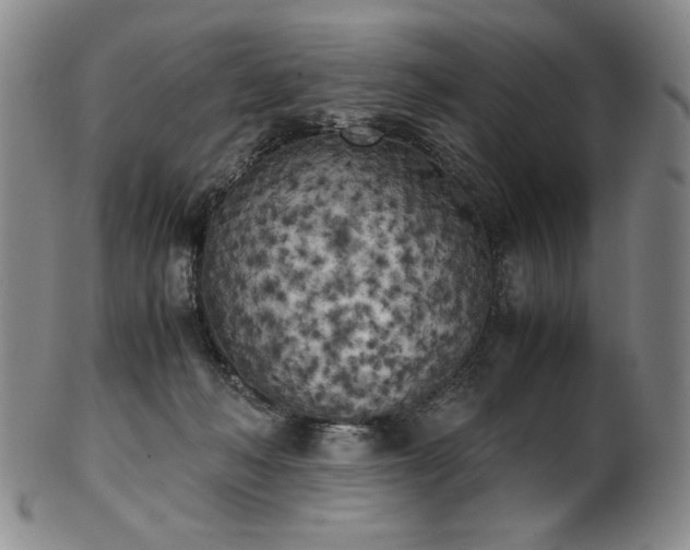 X0000102470222200808081258