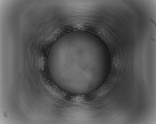 X0000102470223200808081258