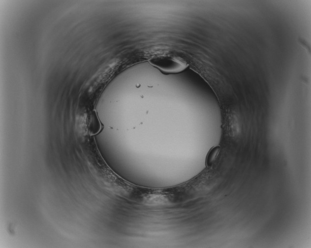 X0000102470224200808081258