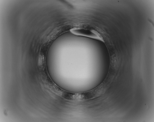 X0000102470225200808081258