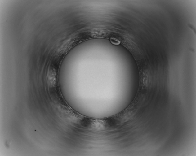 X0000102470226200808081258