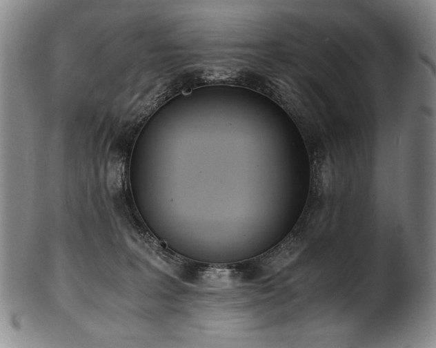 X0000102470227200808081258