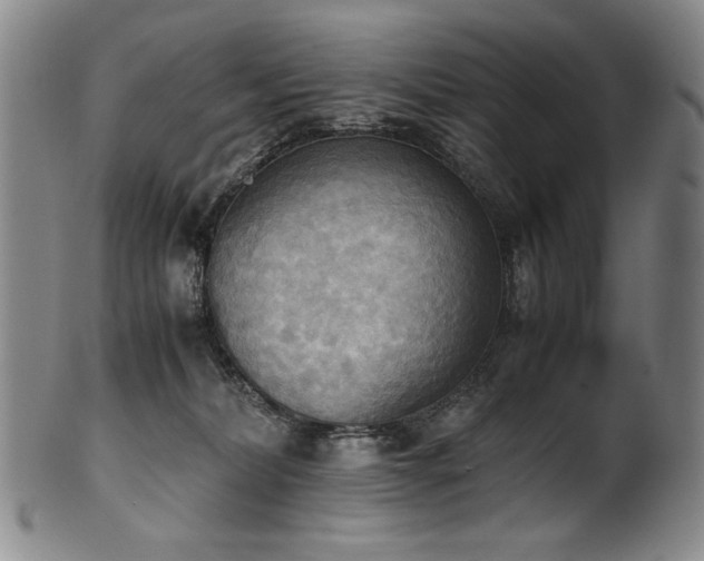 X0000102470228200808081258