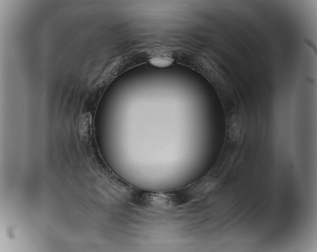 X0000102470229200808081258