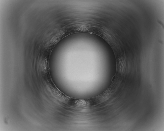 X0000102470230200808081258