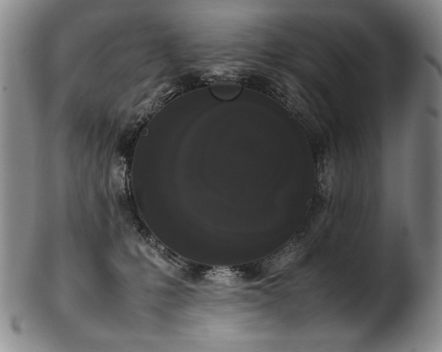 X0000102470231200808081258