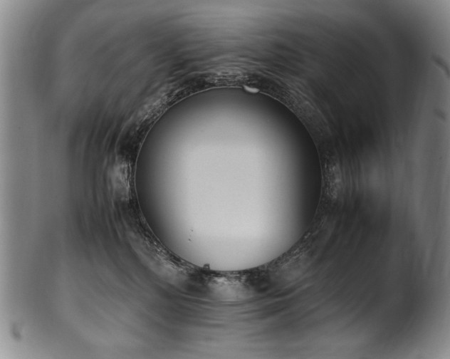 X0000102470232200808081258