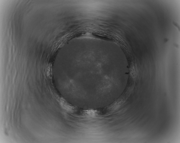 X0000102470233200808081258