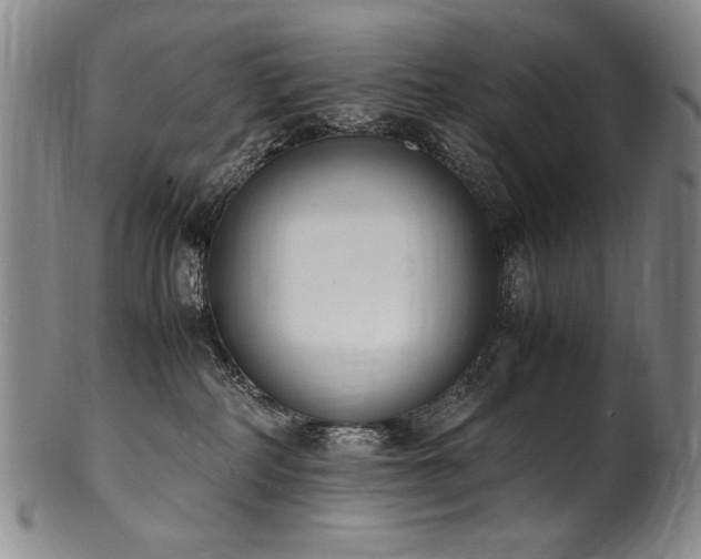 X0000102470234200808081257