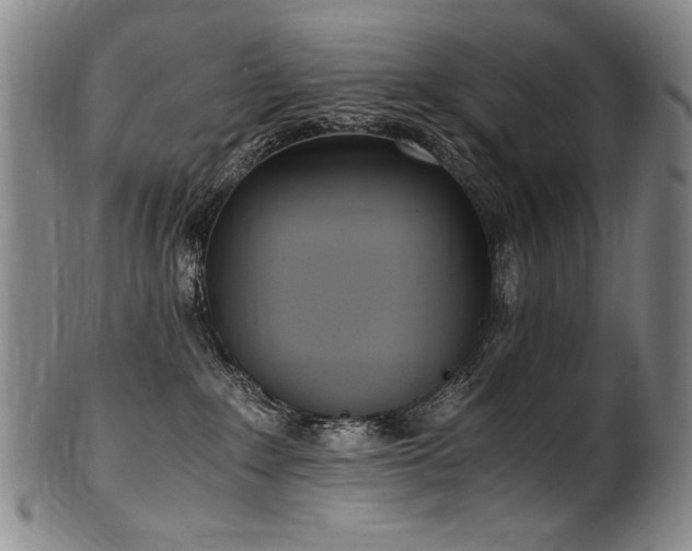 X0000102470235200808081257