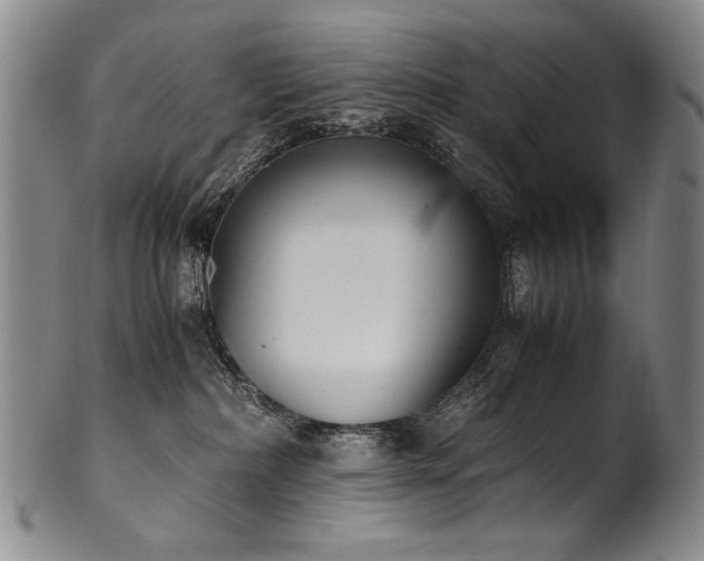 X0000102470236200808081257