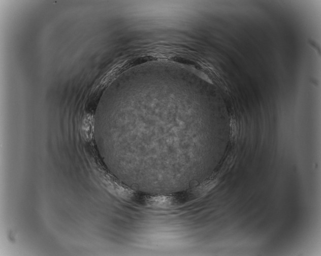 X0000102470237200808081257