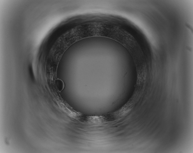 X0000102470239200808081257