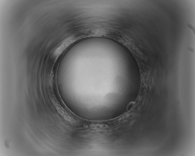 X0000102470242200808081257