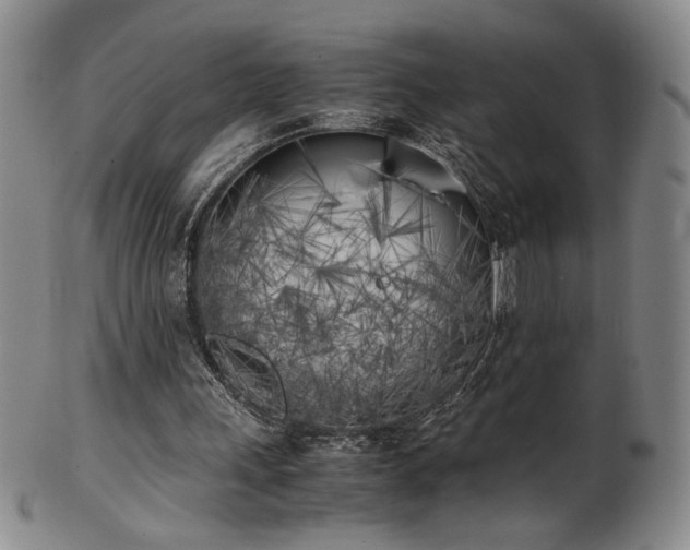 X0000102470243200808081257