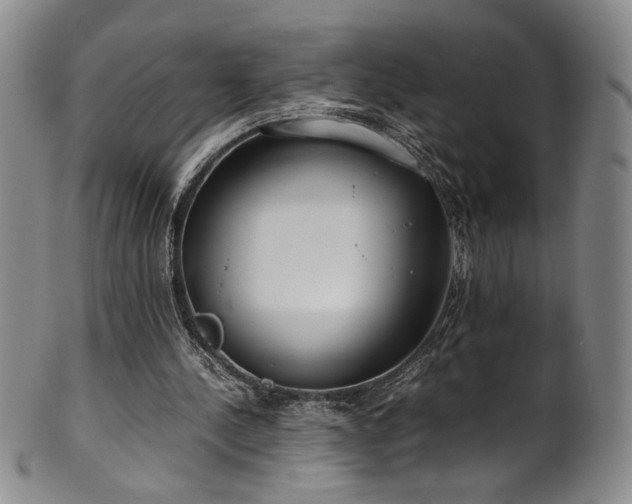 X0000102470244200808081257