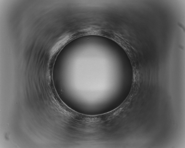 X0000102470245200808081257