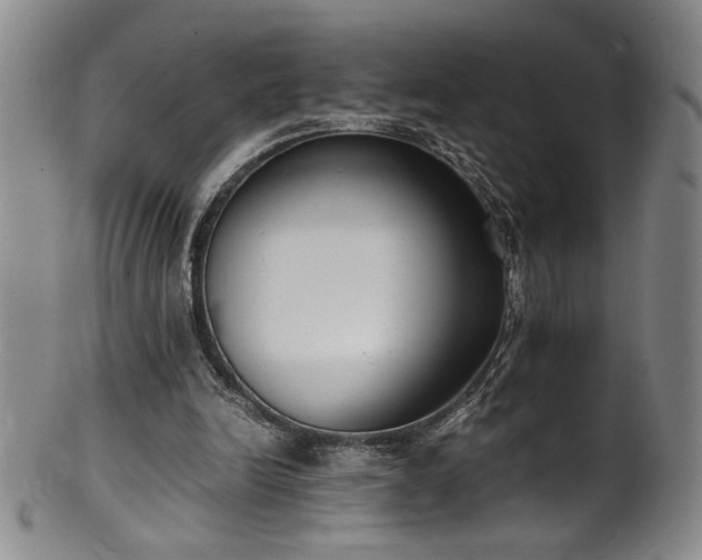 X0000102470246200808081257