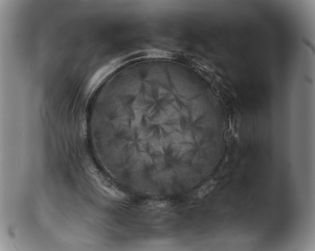X0000102470247200808081257