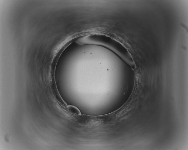 X0000102470248200808081257