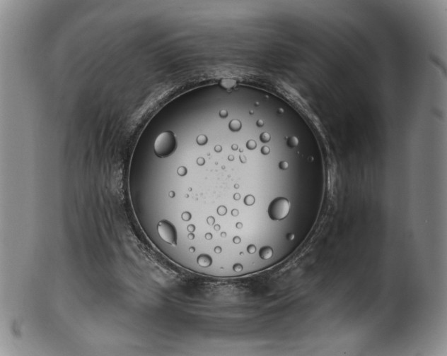 X0000102470249200808081257