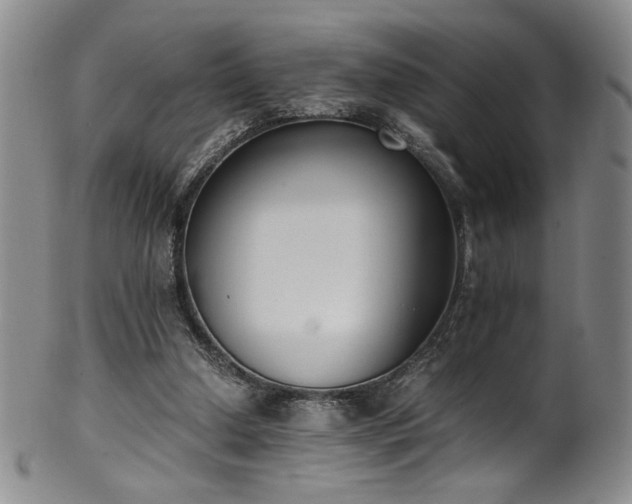 X0000102470250200808081257
