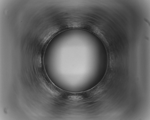X0000102470251200808081257