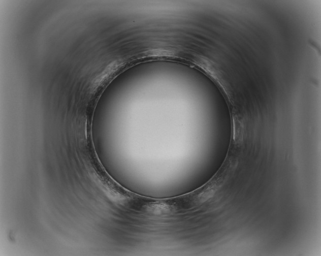 X0000102470253200808081257