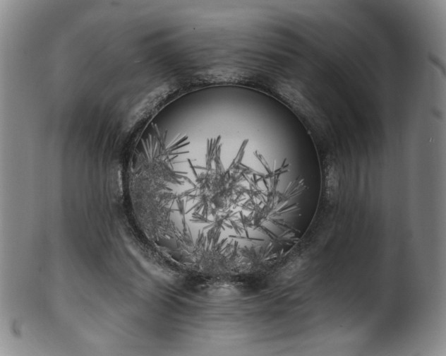 X0000102470254200808081257