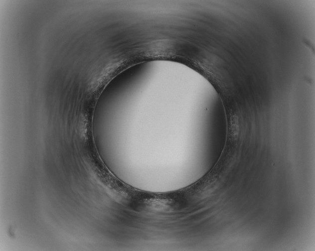 X0000102470255200808081257
