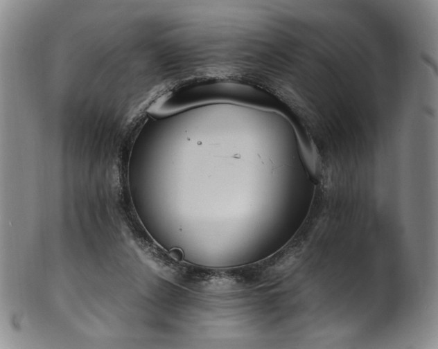 X0000102470256200808081257
