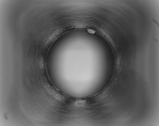 X0000102470257200808081257