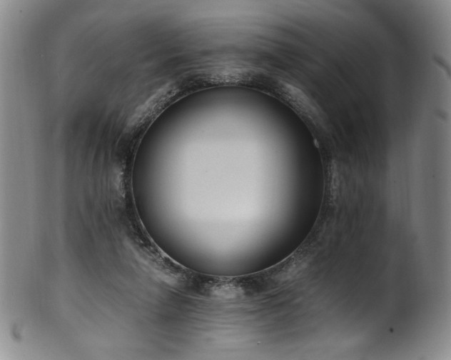X0000102470258200808081257