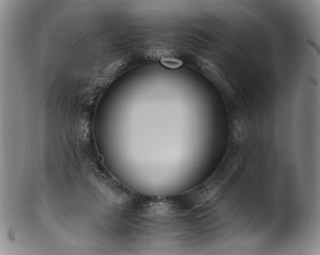 X0000102470259200808081257