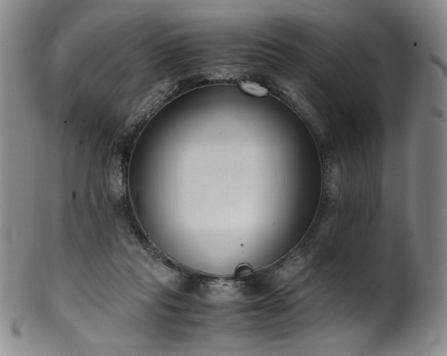 X0000102470261200808081257