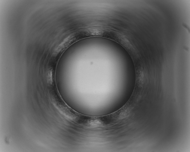 X0000102470262200808081257
