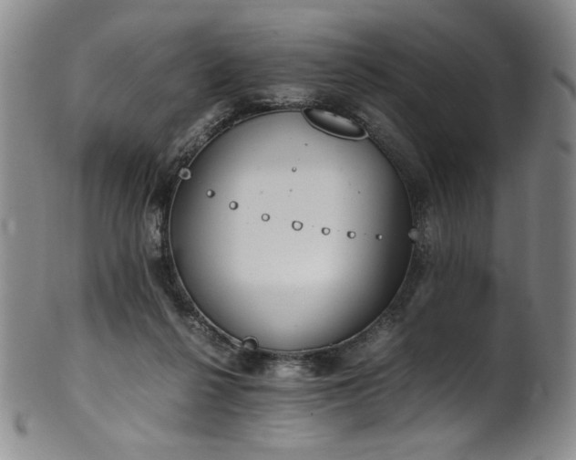 X0000102470264200808081257