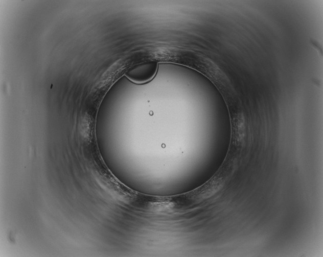 X0000102470266200808081257