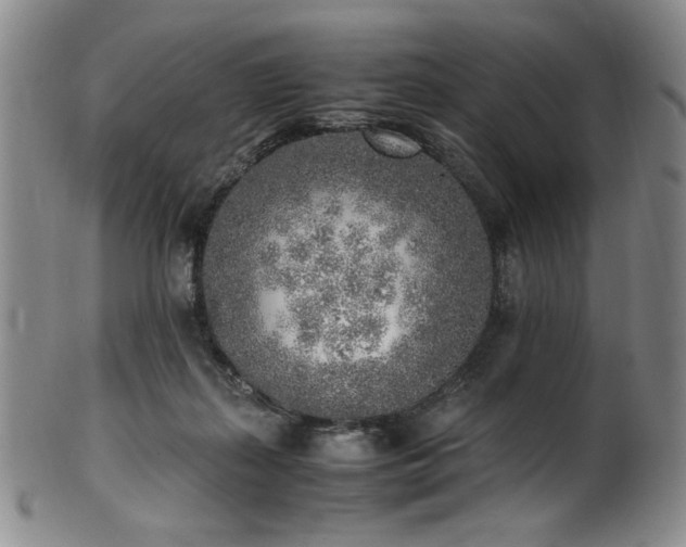 X0000102470267200808081257