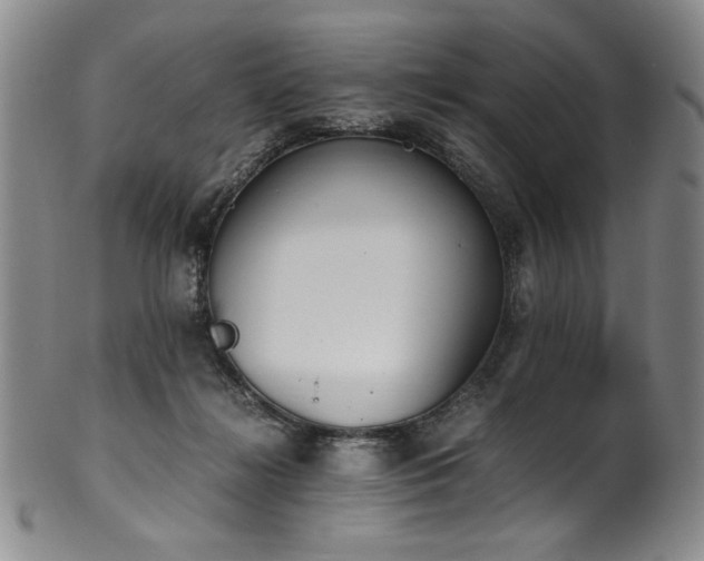 X0000102470268200808081257