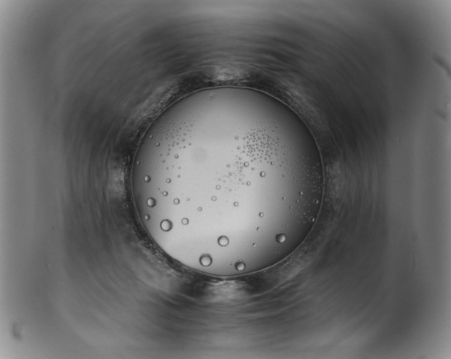 X0000102470269200808081257