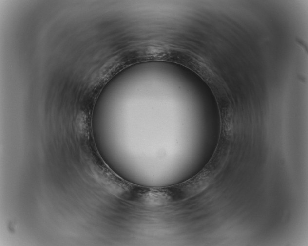 X0000102470270200808081257
