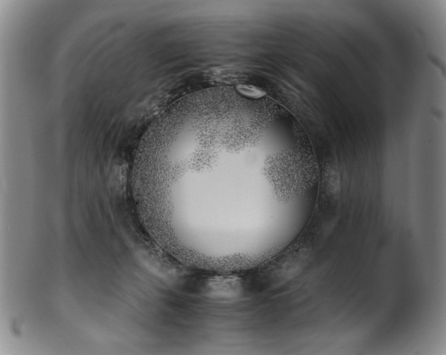 X0000102470271200808081257