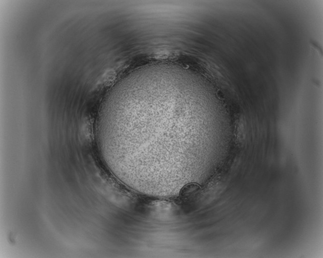 X0000102470272200808081257