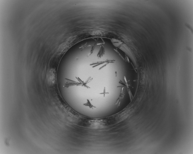 X0000102470273200808081257